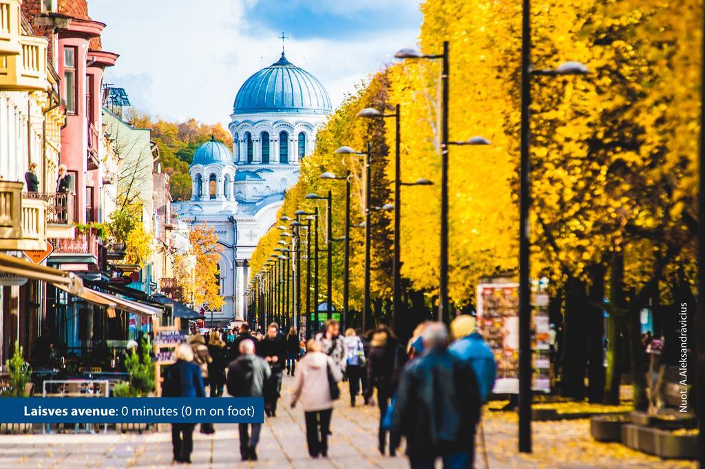 Kaunas City Exterior photo